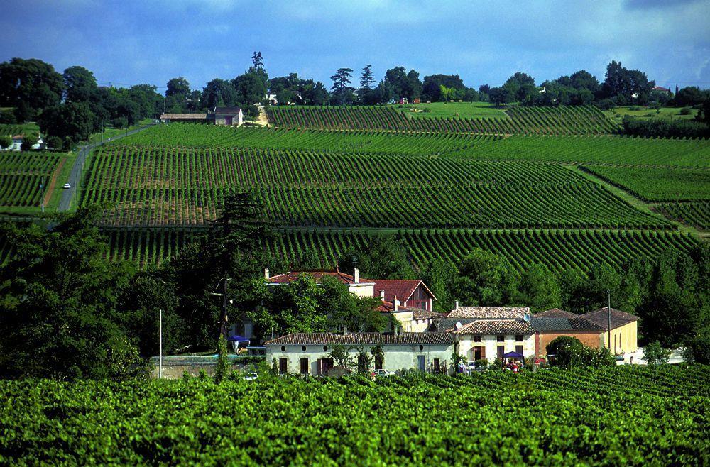Bed and Breakfast Chateau Rousselle Saint-Ciers-de-Canesse Exterior foto