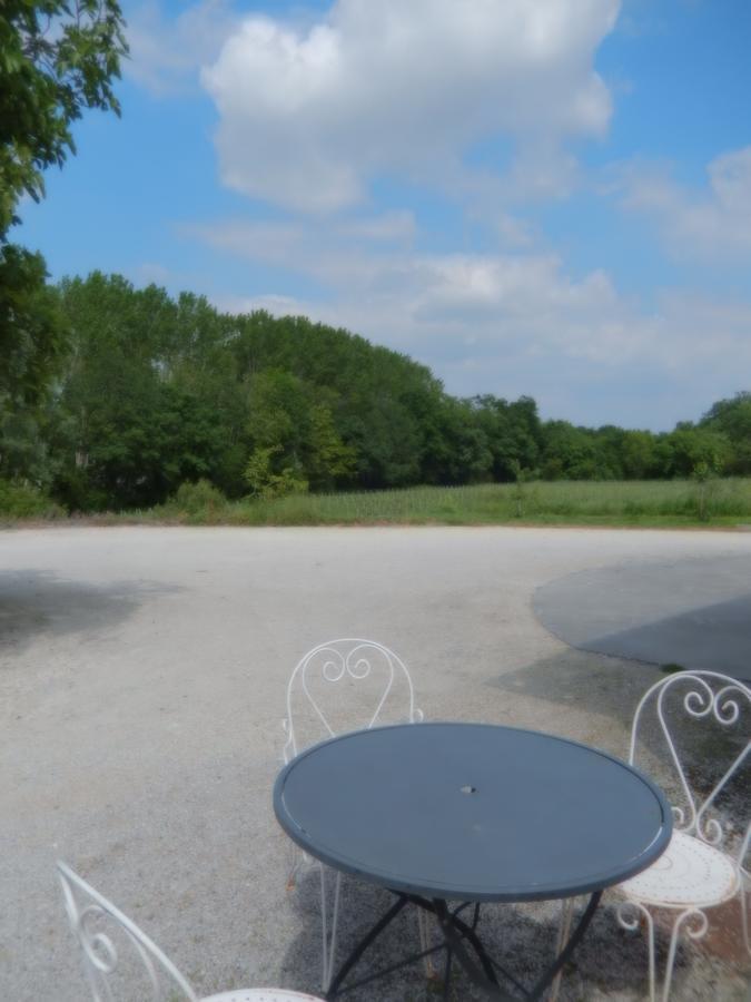 Bed and Breakfast Chateau Rousselle Saint-Ciers-de-Canesse Exterior foto